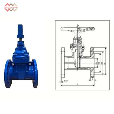 Van cổng gang nối bích Samwoo