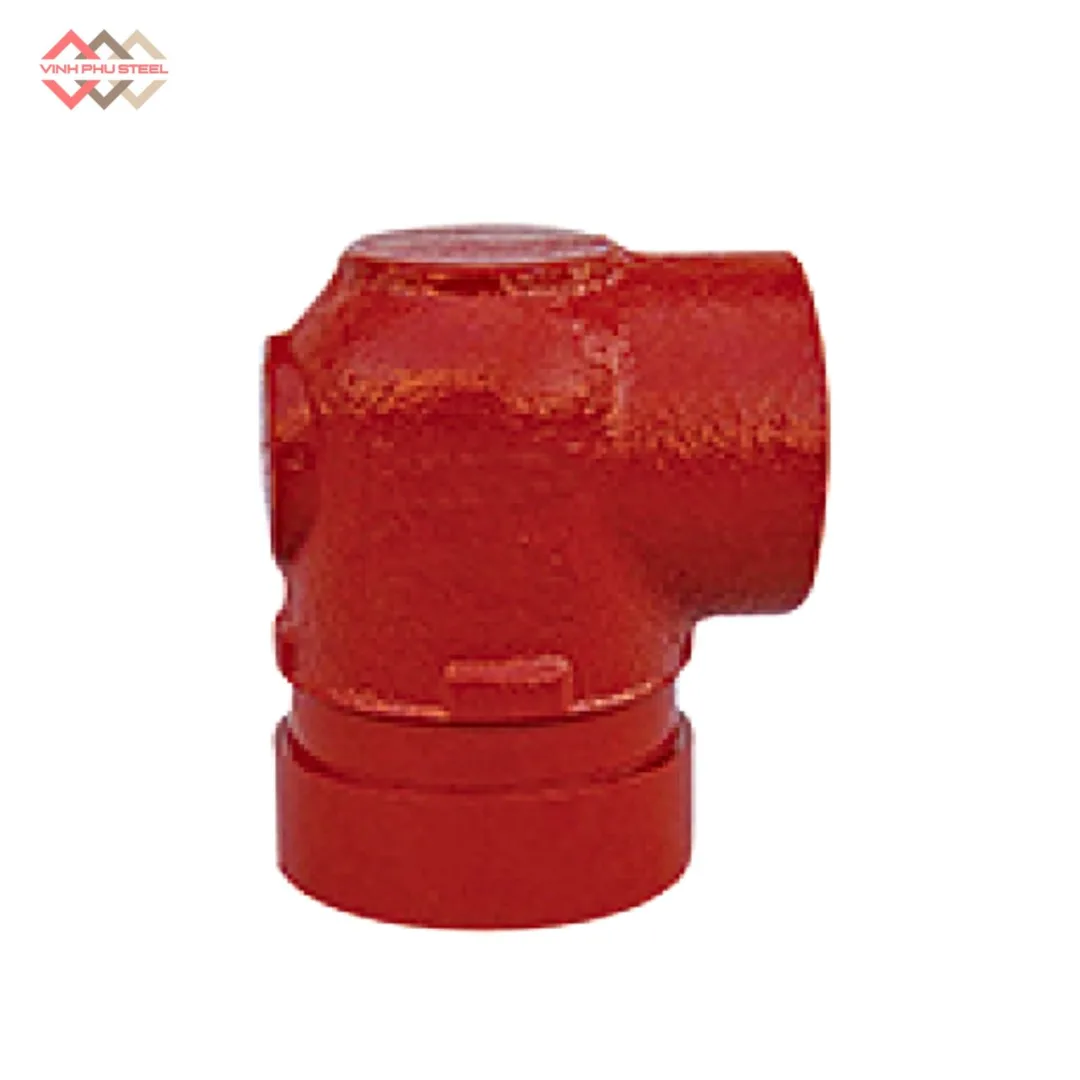 Co giảm rãnh ren 90 WPT