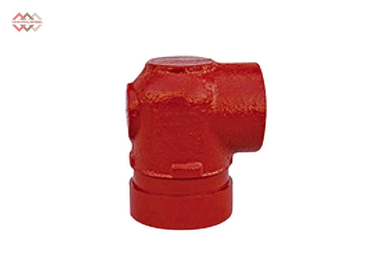 Co giảm rãnh ren 90 WPT
