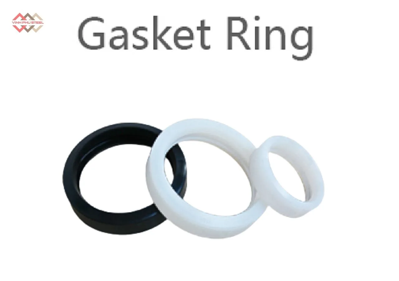 Gioăng rãnh WPT
