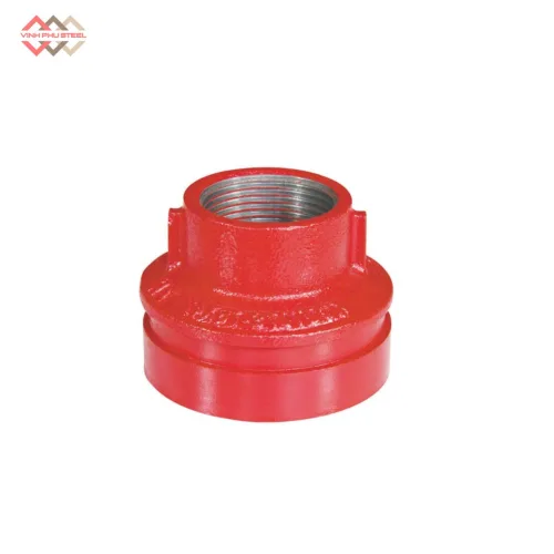 Bầu giảm nối rãnh ren WPT