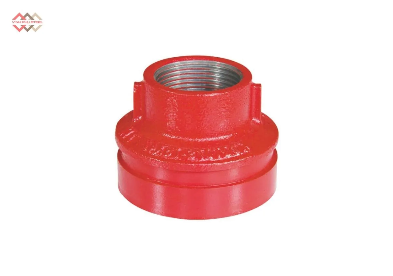 Bầu giảm nối rãnh ren WPT