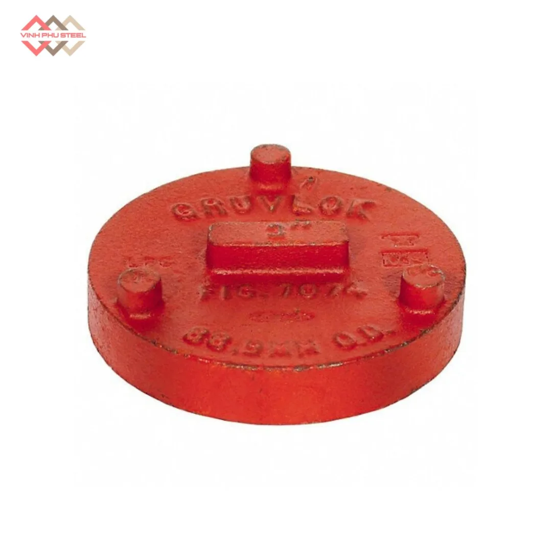 Nắp bịt ống WPT