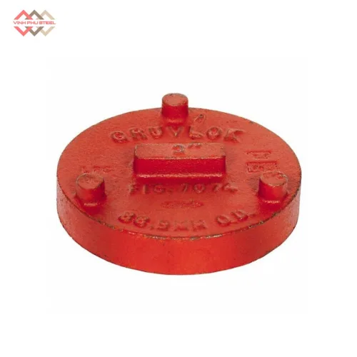 Nắp bịt ống WPT
