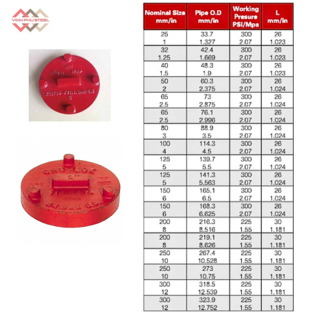 Thông số Nắp bít WPT
