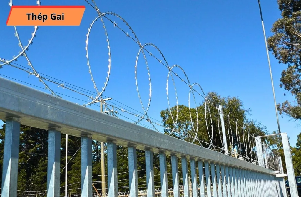 Dây Thép Gai Cao Cấp | Chống Trộm, Bền Bỉ | Thép Vinh Phú