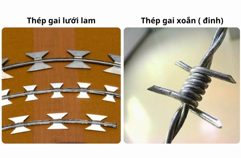 Cận cảnh mũi gai sắc bén, tăng cường khả năng bảo vệ của dây thép gai